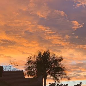 Meet your Posher, Carter